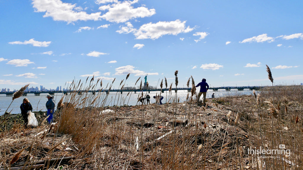 Salt Marsh Cleanup at Liberty State Park