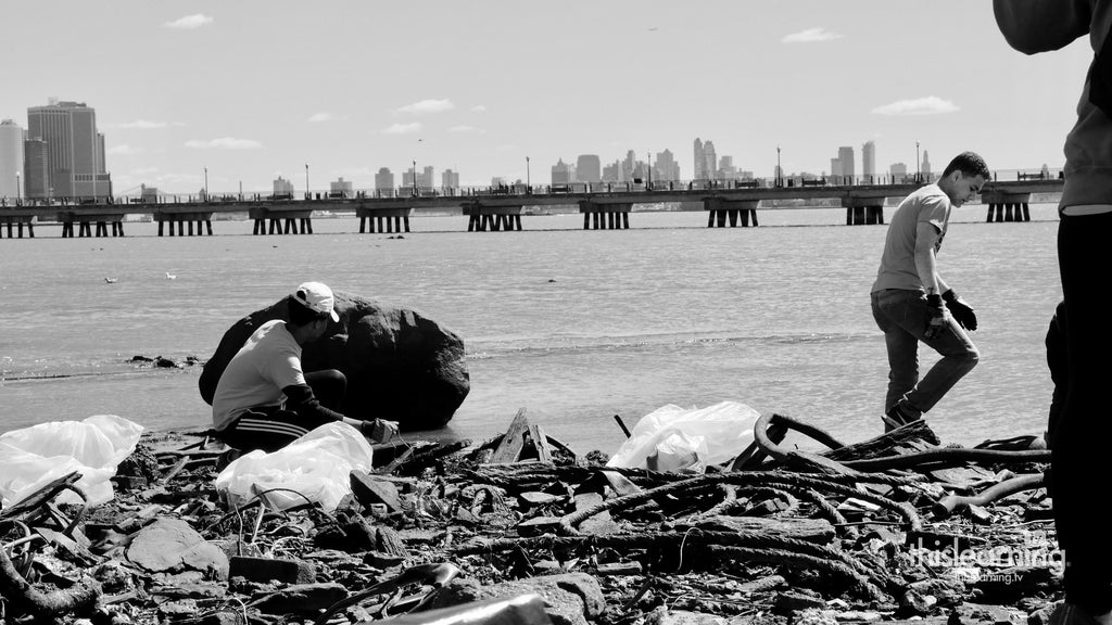 Salt Marsh Cleanup at Liberty State Park